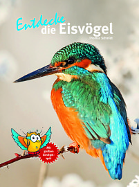 Entdecke die Eisvögel