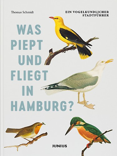 Was piept und fliegt in Hamburg?