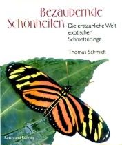 Bezaubernde Schönheiten: Umschlag