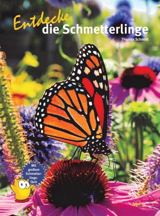 Entdecke die Schmetterlinge