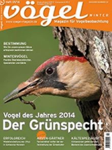 Vögel – Magazin für Vogelbeobachtung