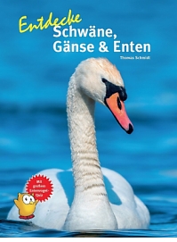 Entdecke Schwäne, Gänse & Enten