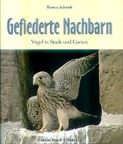 Gefiederte Nachbarn